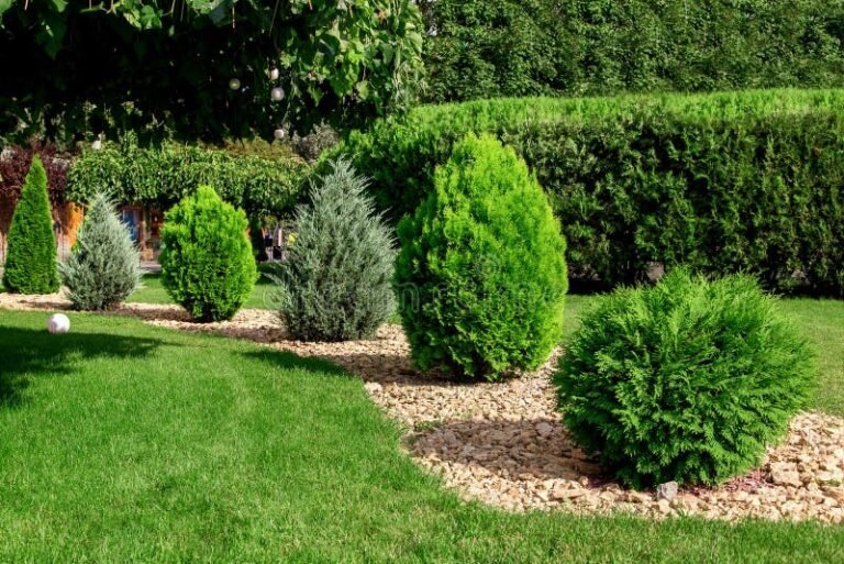 areia espalhada em um jardim ensolarado