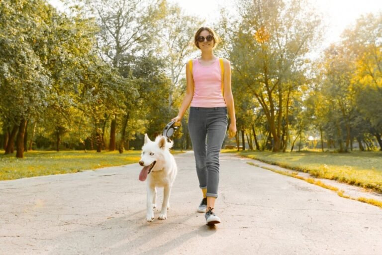 cachorro sendo passeado em parque limpo