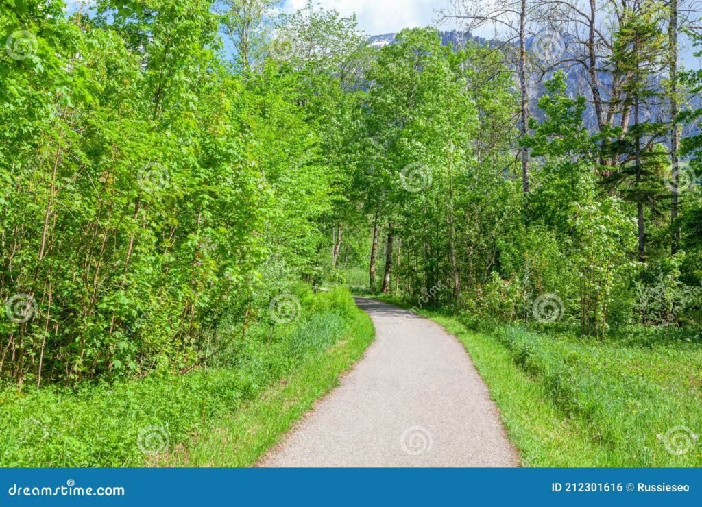 caminho solitario em meio a natureza