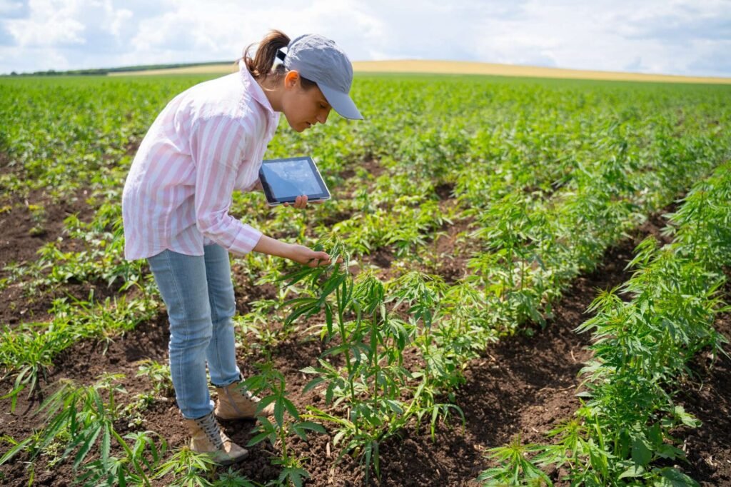 Produtor Rural É Contribuinte do ICMS Entenda Sua Situação Fiscal!