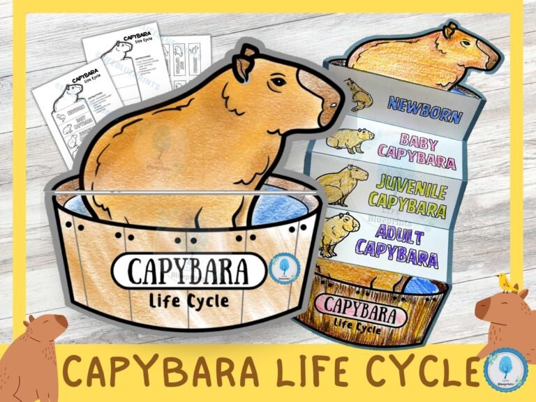 ciclo de vida da capivara ilustrado