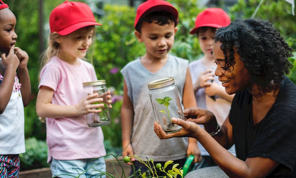 Onde Encontrar Cursos de Meio Ambiente Gratuitos Online