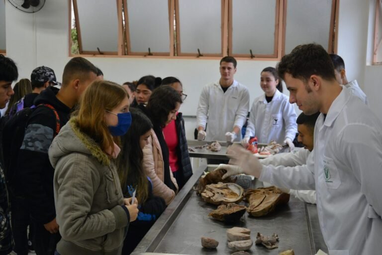 estudantes em laboratorio tecnico interagindo