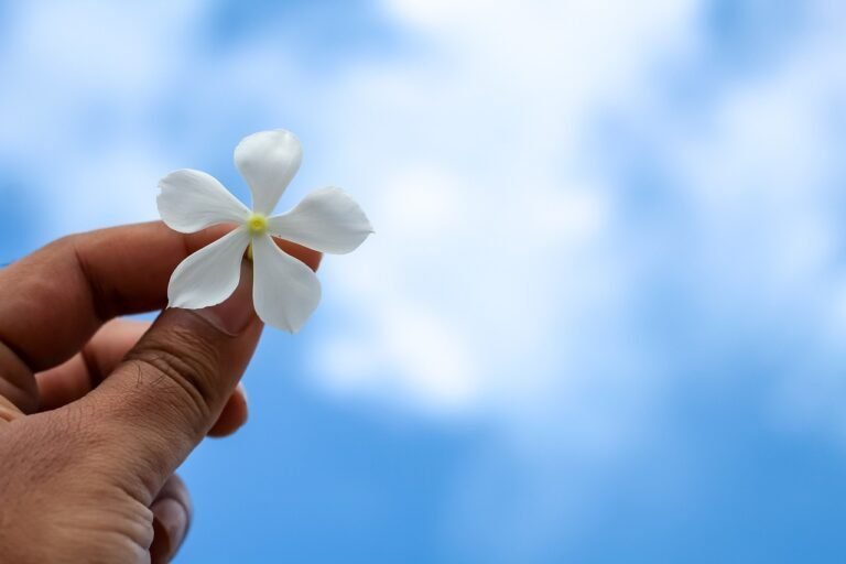 mao segurando flores em homenagem