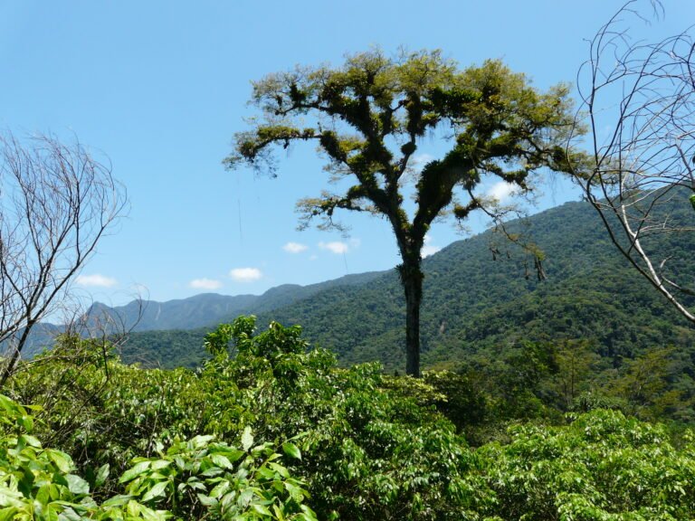 A Química É Natural ou Artificial Entenda as Diferenças!