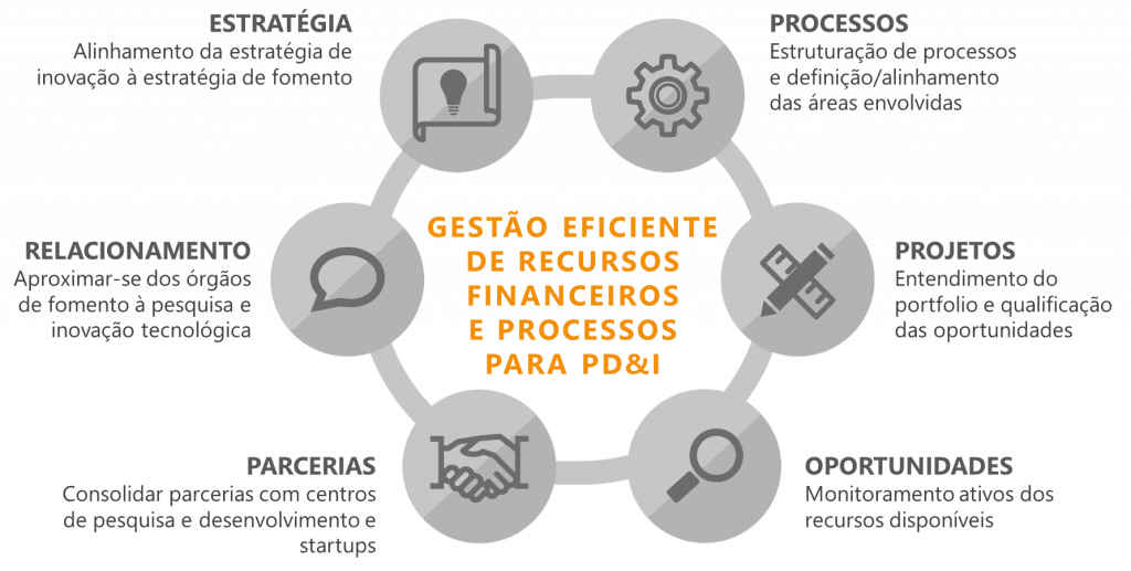 Como as pequenas empresas se destacam em um mercado competitivo