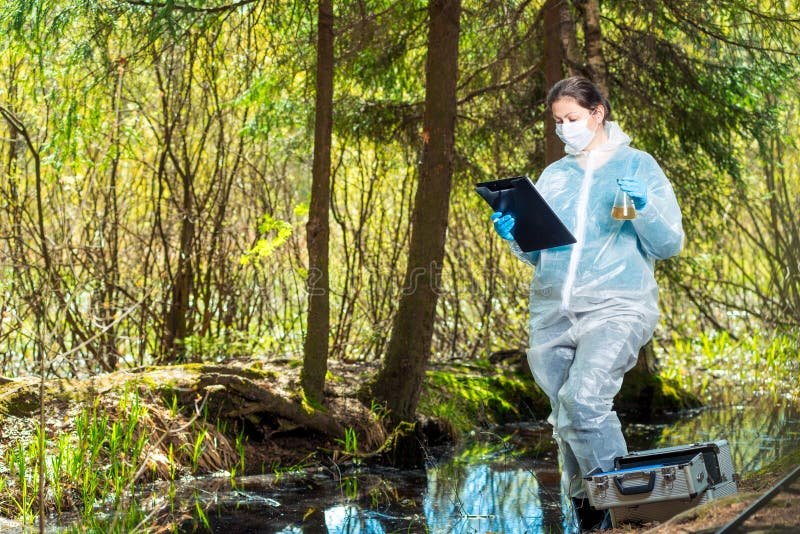 Como obter certificação Green Belt gratuita e acelerar sua carreira