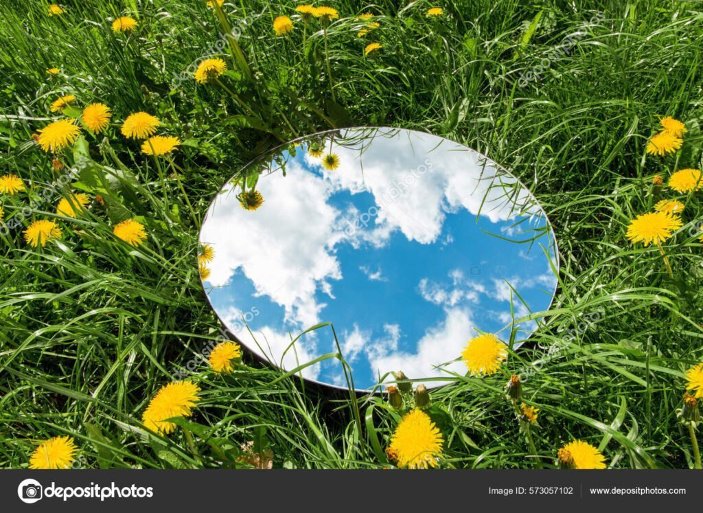 reflexao em um espelho com natureza ao fundo