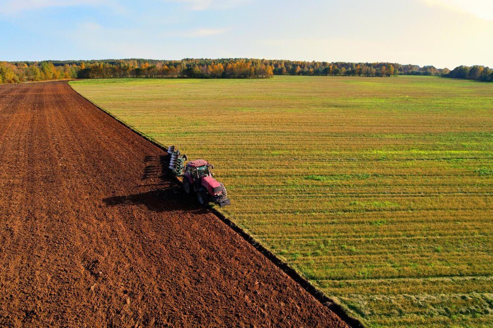 Como Preparar a Terra Ideal para o Cultivo de Plantas