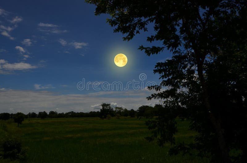 Como enviar mensagens carinhosas de boa noite para alguém especial